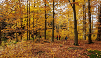 04.12.2025 Ścieżka przyrodnicza - Bratkowice